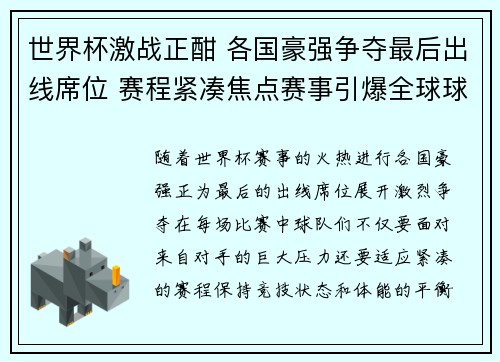 世界杯激战正酣 各国豪强争夺最后出线席位 赛程紧凑焦点赛事引爆全球球迷热情